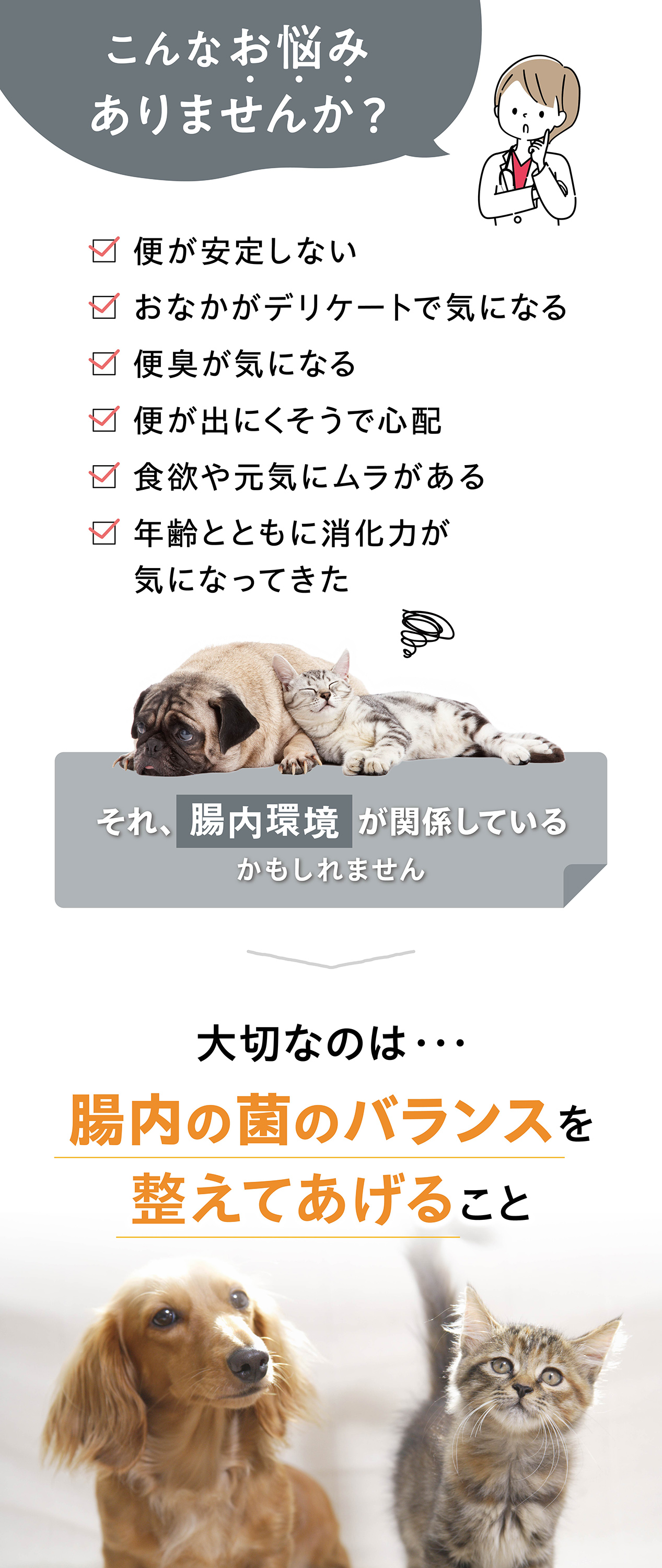 Vet's Labo（ベッツラボ） 公式 メディサプリ 猫用 ガラクトオリゴ糖