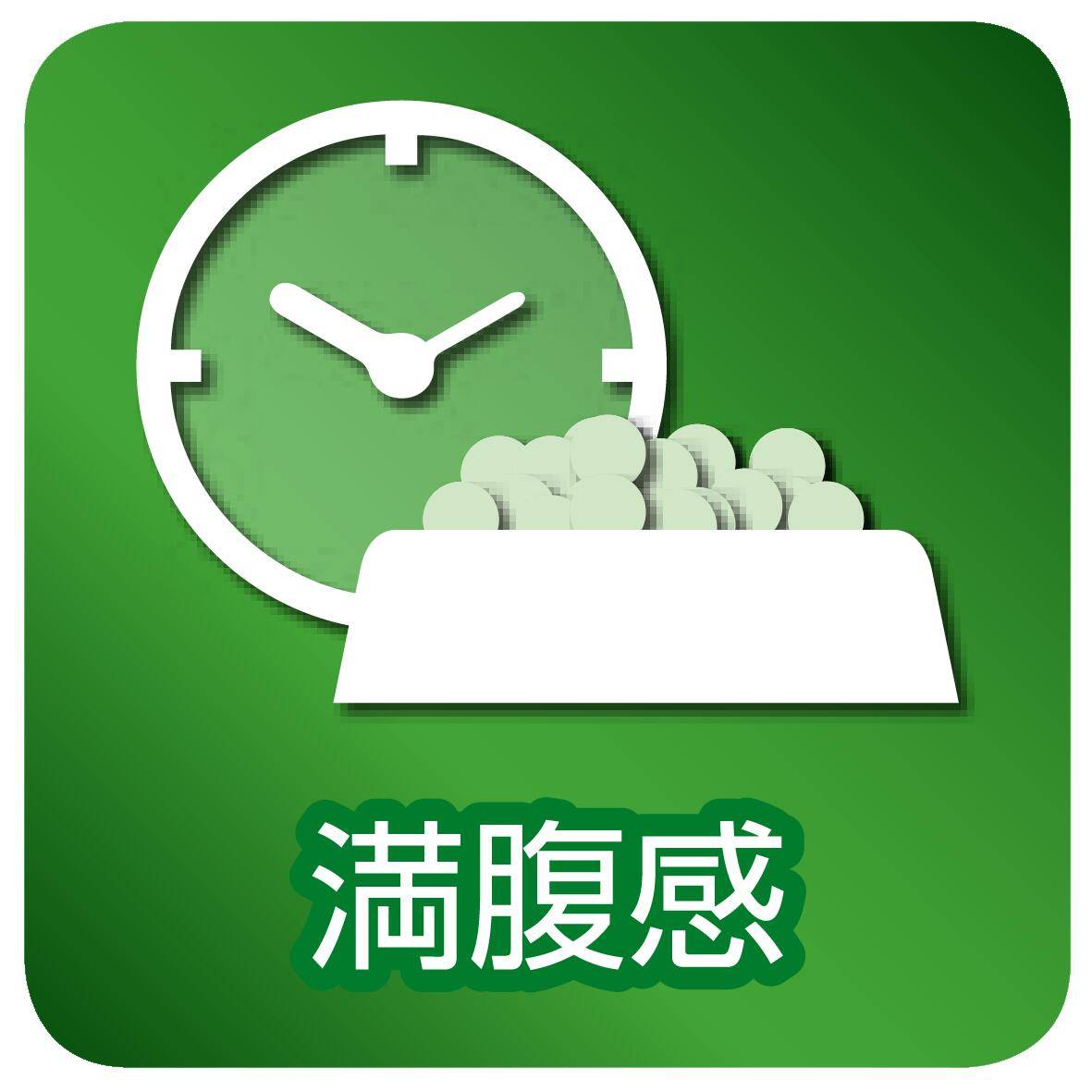 VetSolution 犬用 肥満サポート 3kg Monge 療法食 肥満 CANINE OBESITY