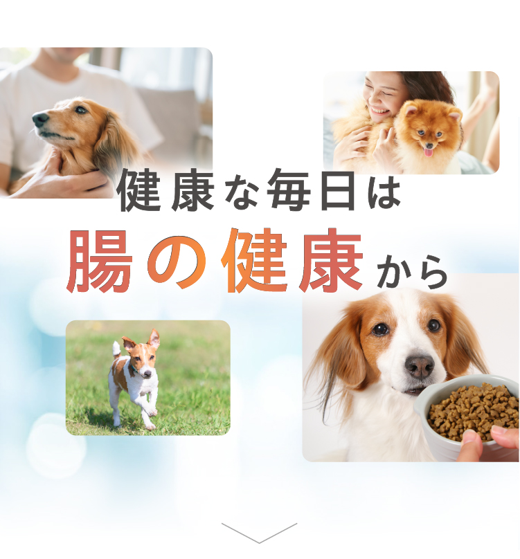 Vet's Labo（ベッツラボ） 数量限定 犬 ドライフード 総合栄養食