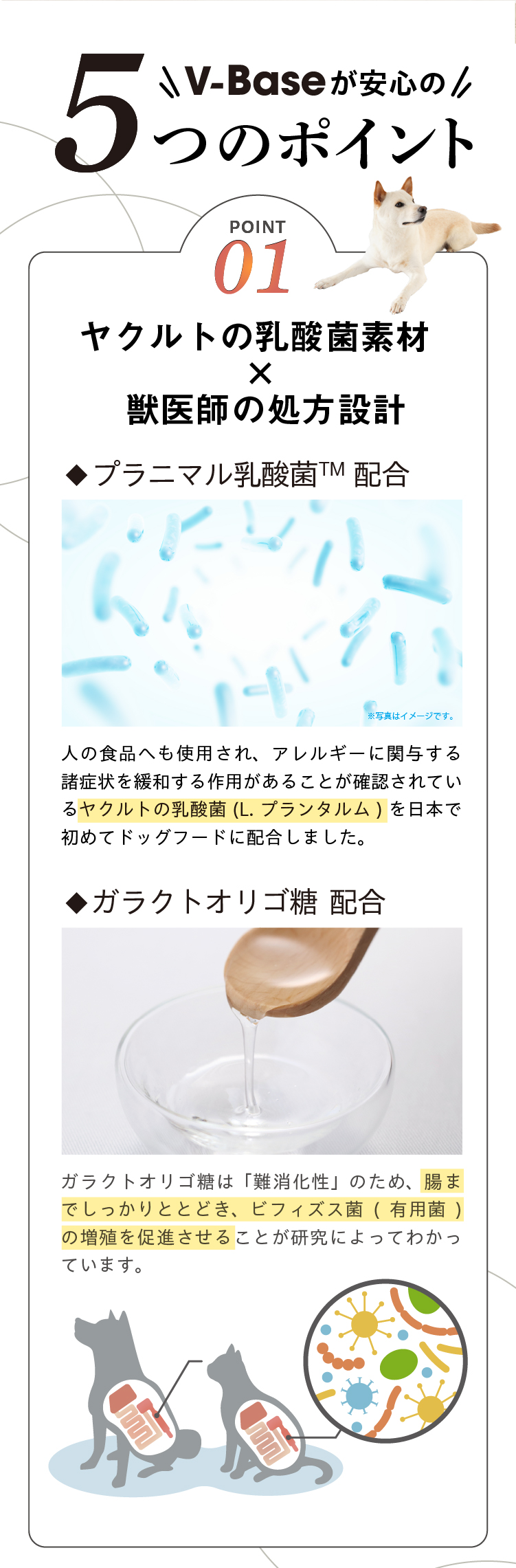 Vet's Labo（ベッツラボ） 犬 ドライフード 総合栄養食 vetslabo 公式