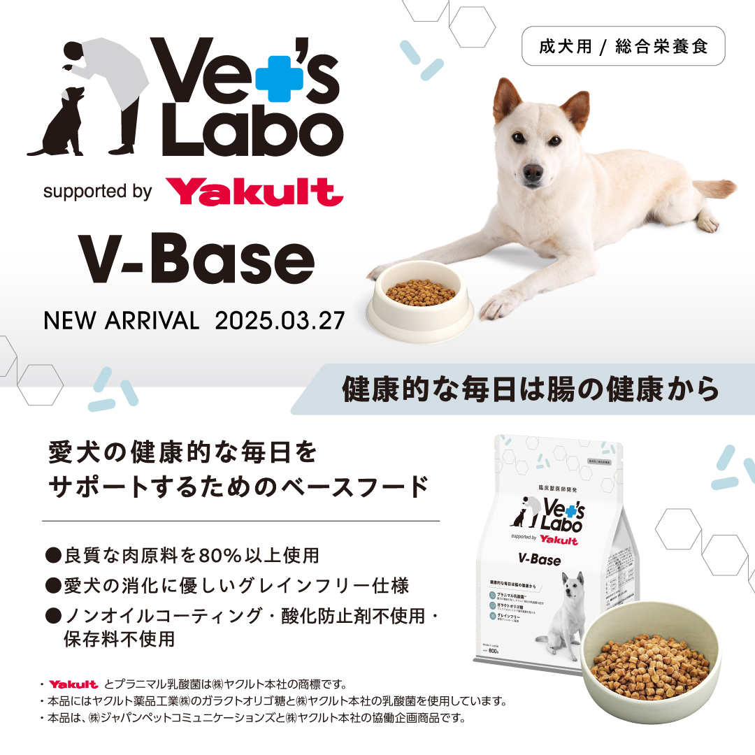 ドッグフード bg ビューティープロ ドッグ おなかの健康 1歳から | 日本ペット