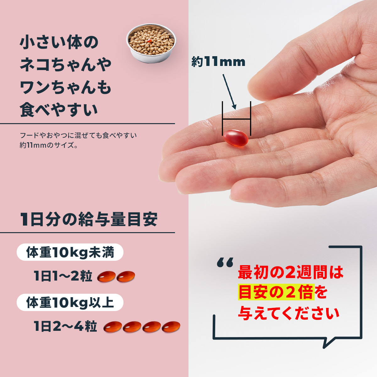 Vetz Petz アンチノールプラス 90粒 猫用サプリメント 猫のサプリメント【アンチノール プラス】– ベッツペッツ公式サイト