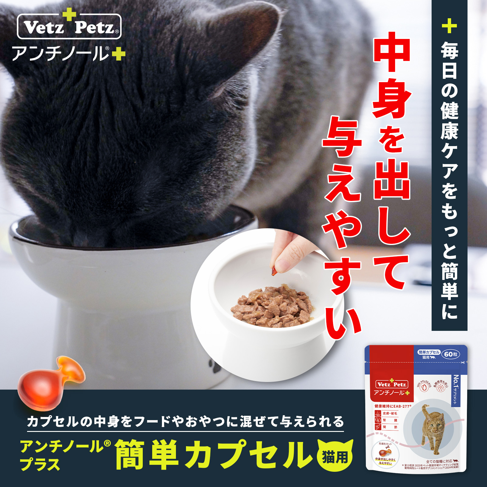 Vetz Petz（ベッツペッツ） 公式 アンチノール プラス 猫用 簡単
