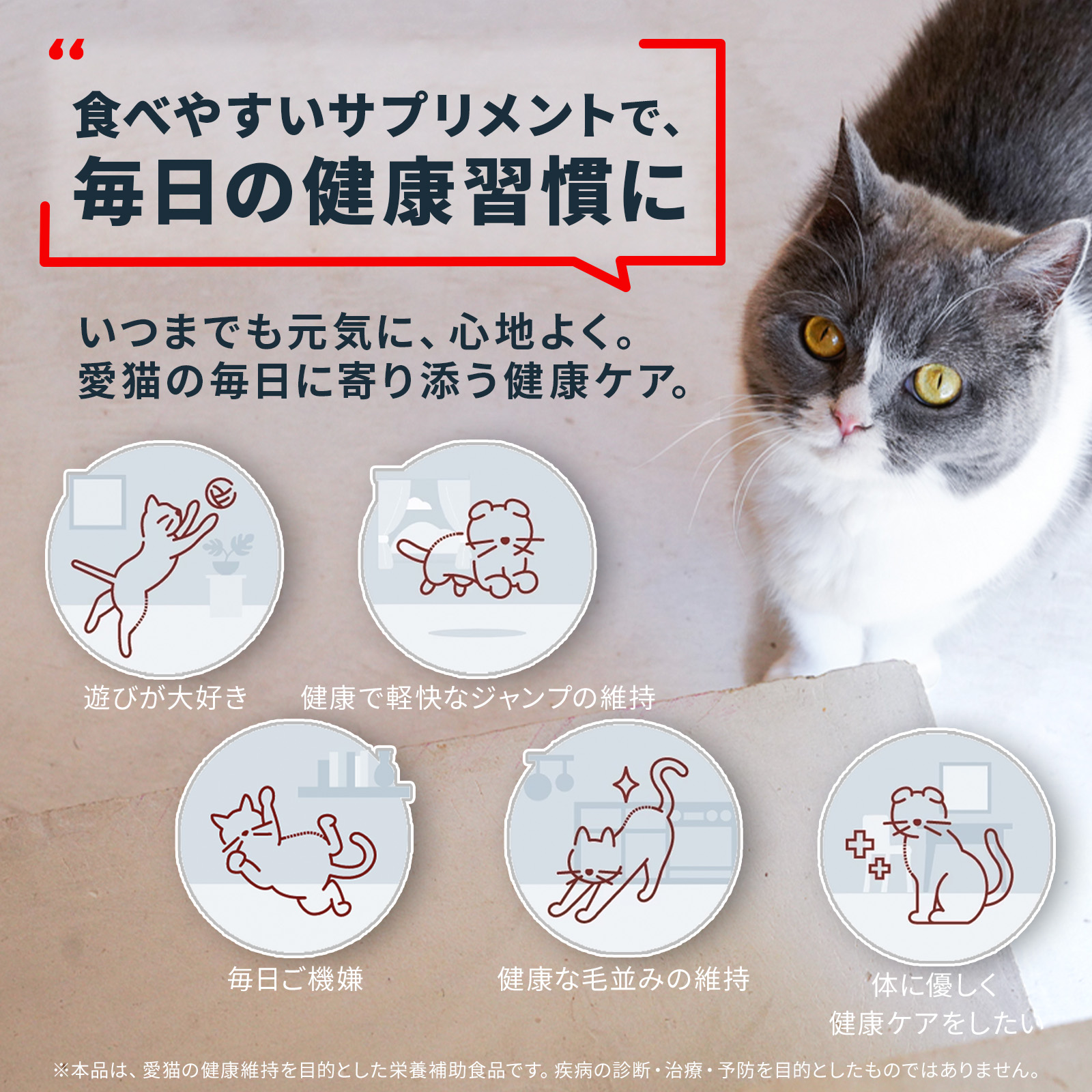 Vetz Petz（ベッツペッツ） 公式 アンチノール プラス 猫用 簡単