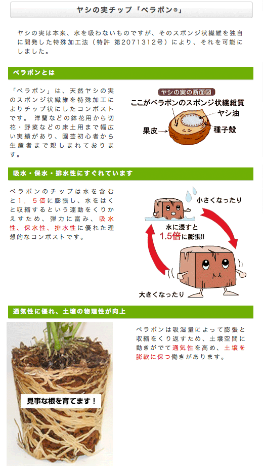 市場 フジック あく抜きベラボン