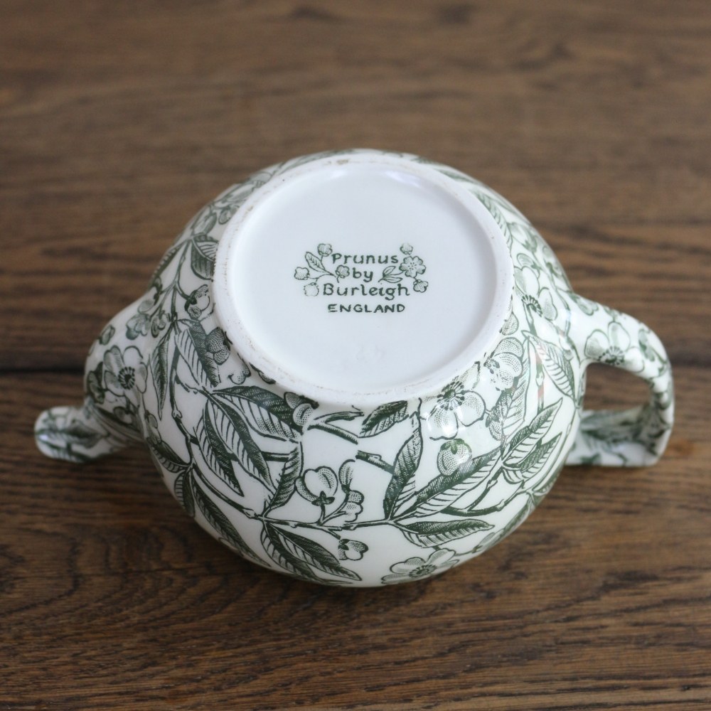 グリーンプルナス ティーポットS 英国 食器 陶器 紅茶 イギリス TI1-E16G02