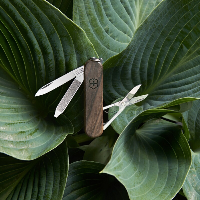VICTORINOX ビクトリノックス 公式 クラシックSD ウッド 正規品