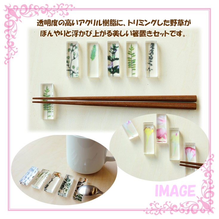 メール便送料無料】 toumei トウメイ 押し花 Hashioki 箸置き 5個