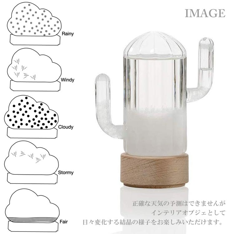 Bitten ストームカクタス ウェザーステーション 19 サボテン 天気管 ストームグラス 天気予報 天気 マーケティング おしゃれ 雑貨 Cuctus 気象観測 Storm ビッテン オブジェ