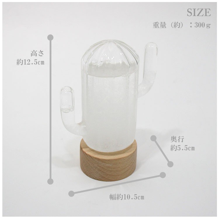 Bitten ストームカクタス ウェザーステーション 19 サボテン 天気管 ストームグラス 天気予報 天気 マーケティング おしゃれ 雑貨 Cuctus 気象観測 Storm ビッテン オブジェ
