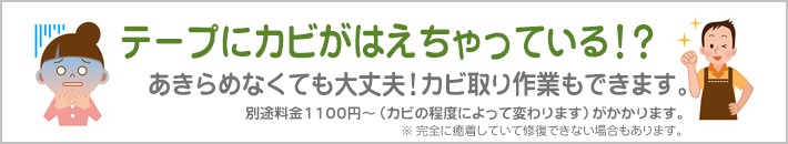 カビ取りいたします