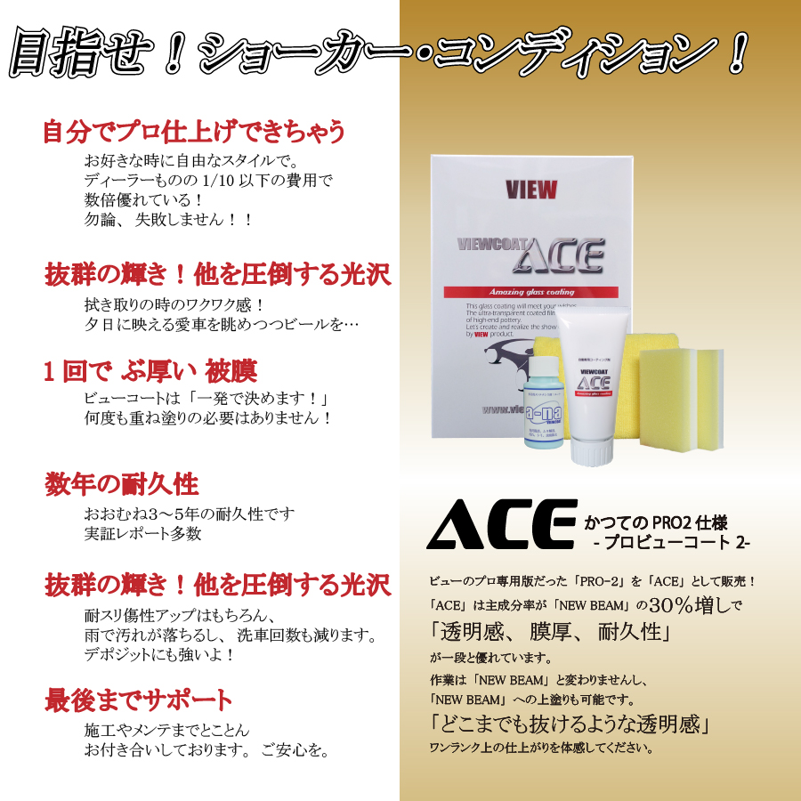 VIEW（ビュー） コーティング剤 ACE 100gセット マイクロファイバー