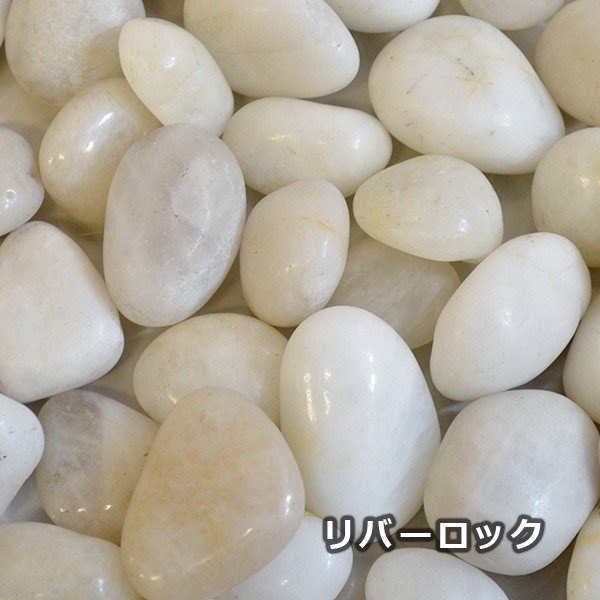 プリマ フェイクグリーン 観葉植物 人工観葉植物 造花 マグノリア