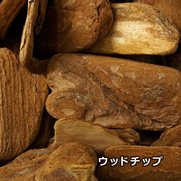 プリマ フェイクグリーン 観葉植物 人工観葉植物 造花 マグノリア