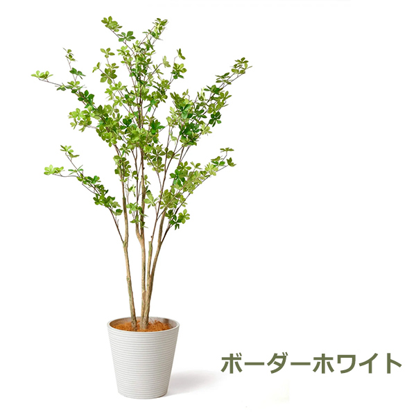 光触媒　人工観葉植物　フェイクグリーン　ドウダンツツジ160FST ドウダンツツジ フェイク グリーン 大型 人工観葉植物 造花 枝 枝もの