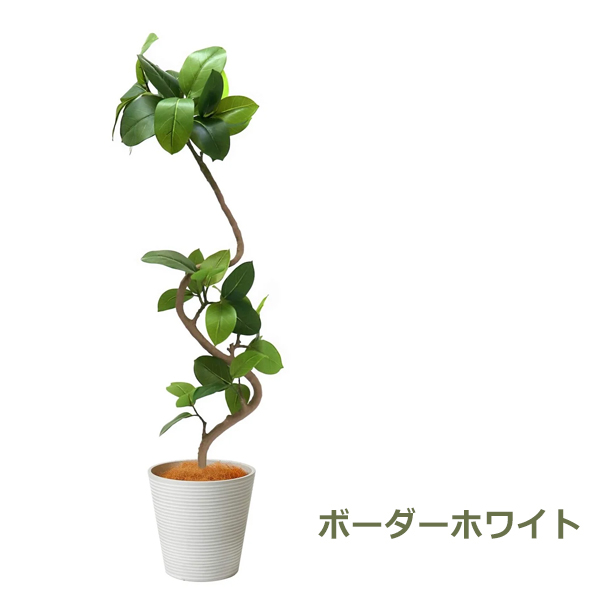 フェイクグリーン 観葉植物 人工観葉植物 造花 大型 フィカス