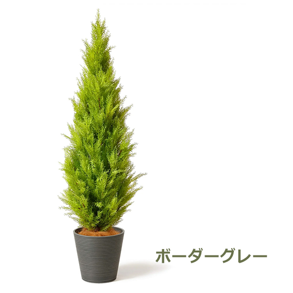 フェイクグリーン 観葉植物 人口観葉植物 造花 大型 ゴールドクレスト コニファー GW プランター 163cm 植物 おしゃれ 鉢付き インテリア  PRGR-1246 GREENPARK