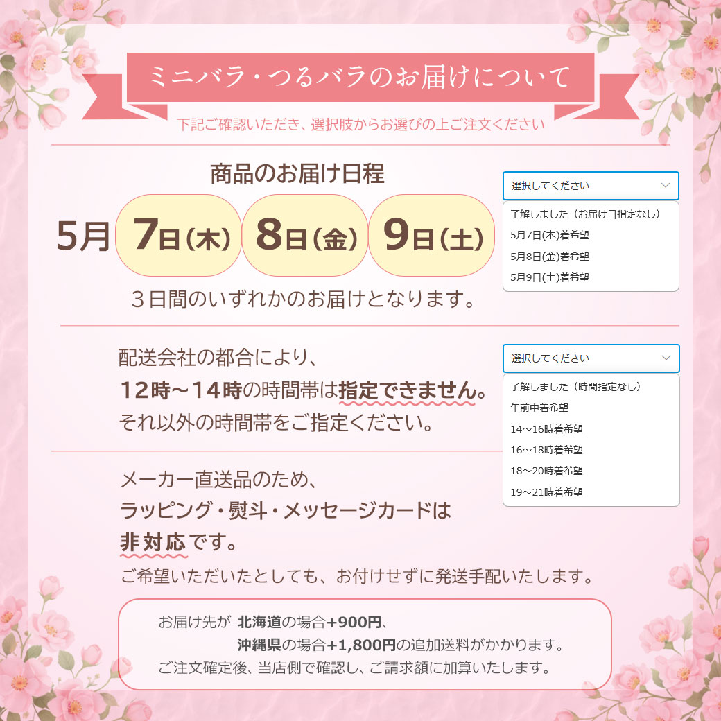 母の日 プレゼント ギフト 予約 花 鉢植え 生花 つる バラ ローズ 薔薇