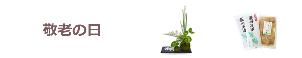 クリスマス ツリー ミニ コンパクト 省スペース LED ライト SIRIUS シリウス 飾り キャンドル シンプル インテリア 北欧 リモコン クラシック H60cm Alvin 51695 - 5
