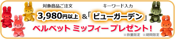 3,980円注文＆キーワード入力でプレゼント