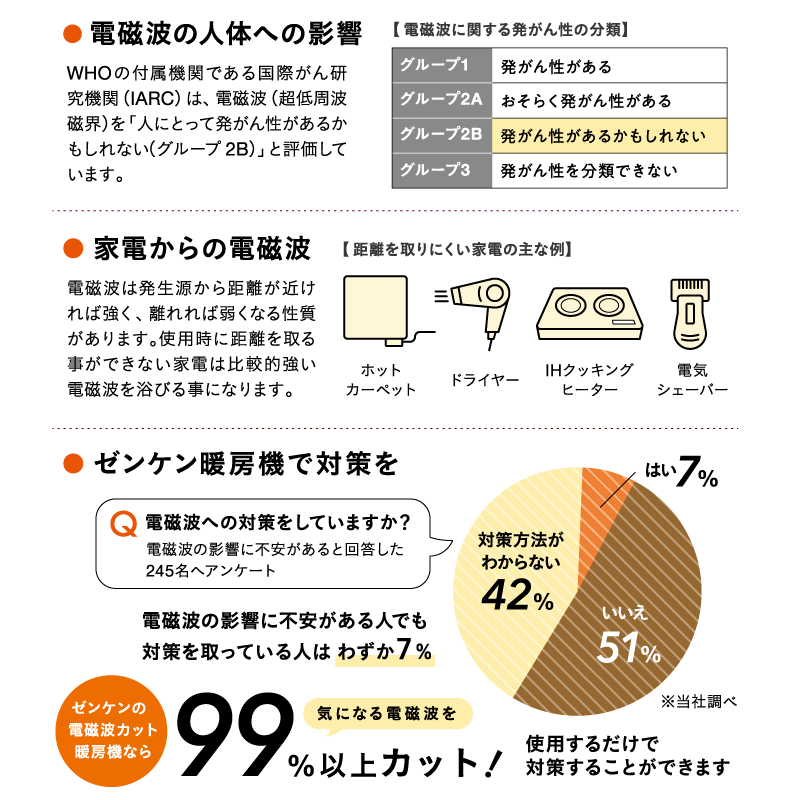 ゼンケン 【電磁波99%カット】 ホットカーペット 1畳用本体のみ(S