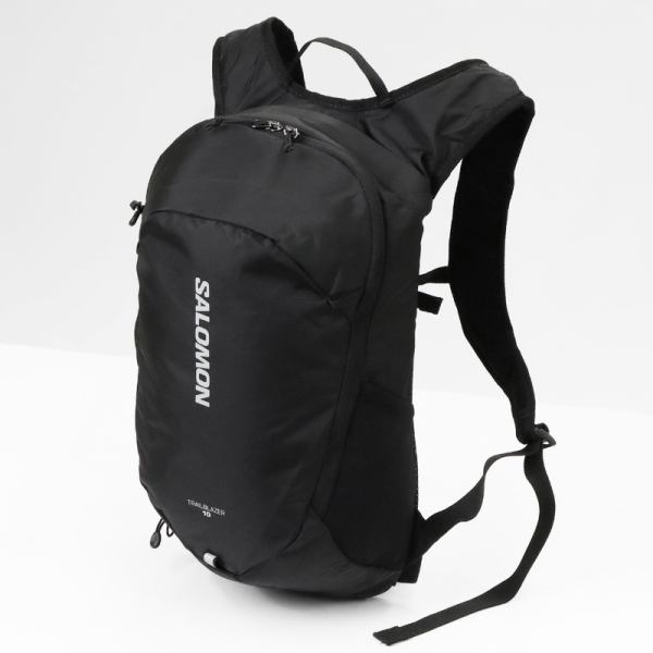ほぼ新品 SALOMON サロモン TRAILBLAZER10 バックパック 旅のアイテム：SALOMON Trailblazer10 - 東京弁当生活。