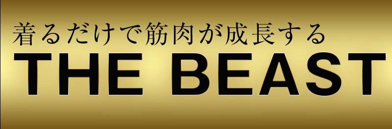 VIDAN　the BEAST(ビダンザビースト)