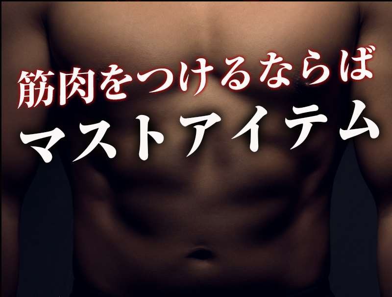 VIDAN　the BEAST(ビダンザビースト)