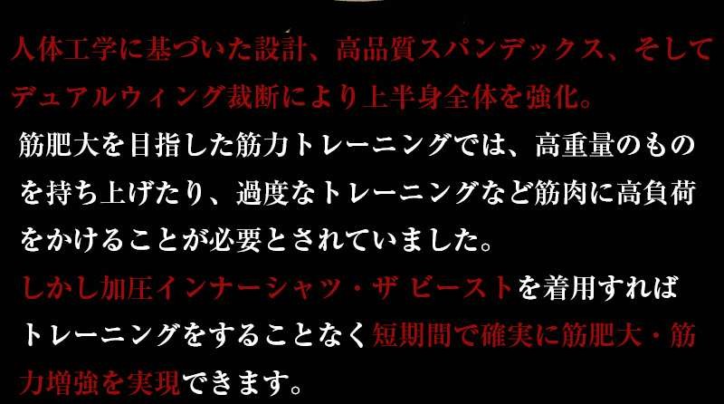 VIDAN　the BEAST(ビダンザビースト)