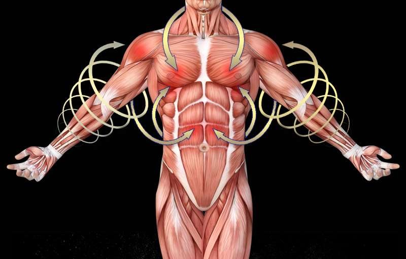 VIDAN　the BEAST(ビダンザビースト)