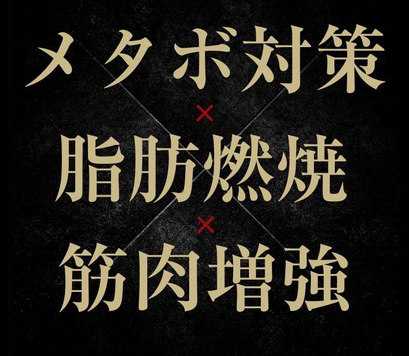 VIDAN　the BEAST(ビダンザビースト)