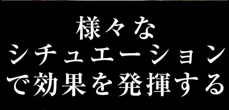 VIDAN　the BEAST(ビダンザビースト)