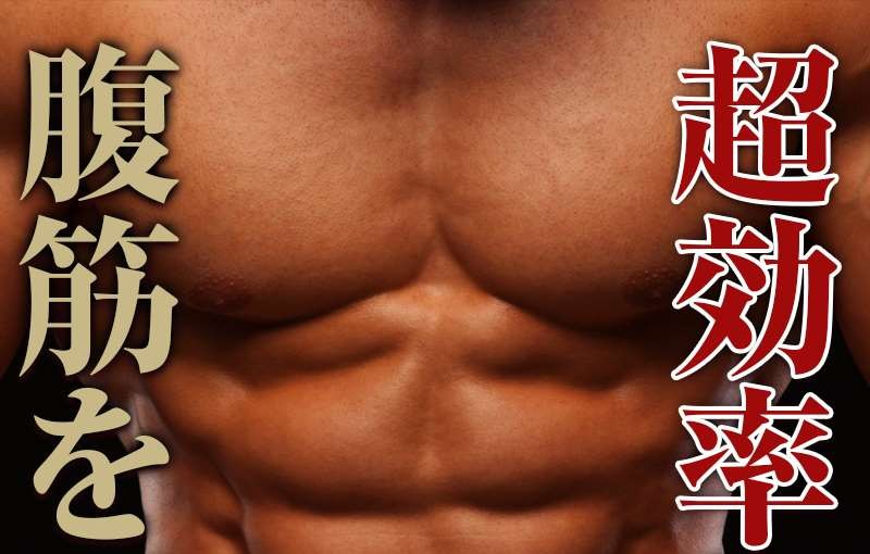 VIDAN　the BEAST(ビダンザビースト)