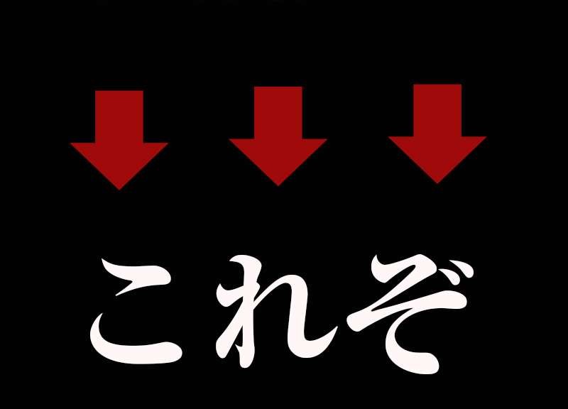 VIDAN　the BEAST(ビダンザビースト)