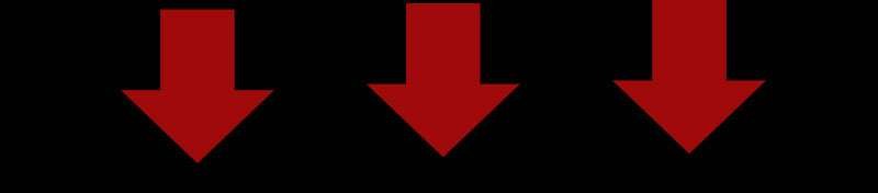 VIDAN　the BEAST(ビダンザビースト)