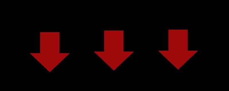 VIDAN　the BEAST(ビダンザビースト)