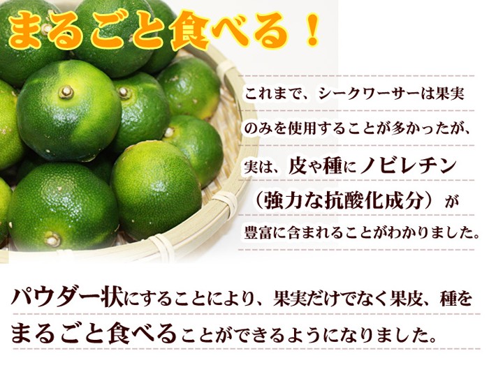 シークワーサーパウダー 60g