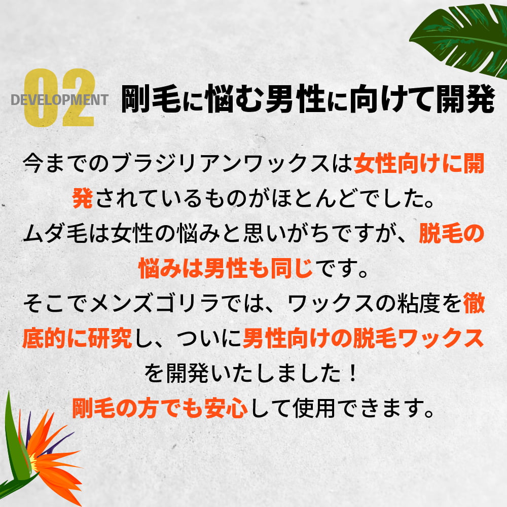 脱毛 メンズ ブラジリアンワックス VIO デ...の詳細画像4