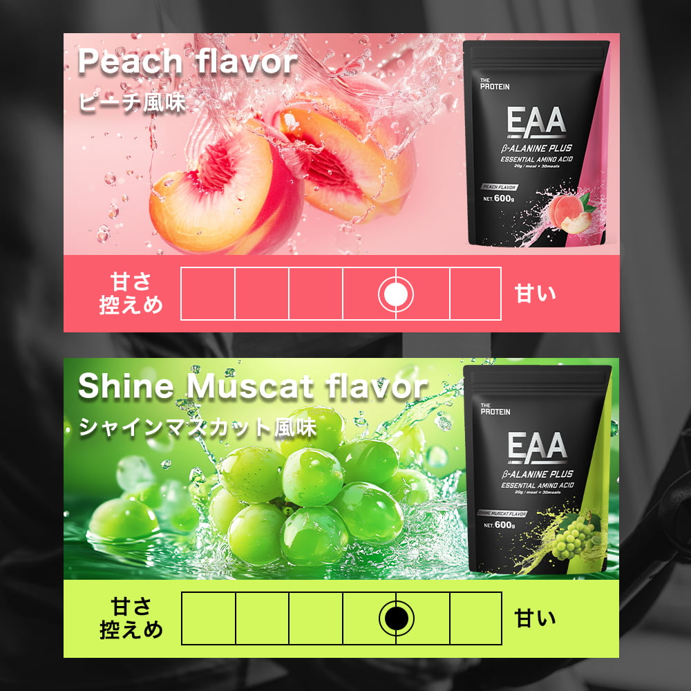 THE PROTEIN（ザ プロテイン） EAA βアラニン ザプロ 30食分 武内製薬