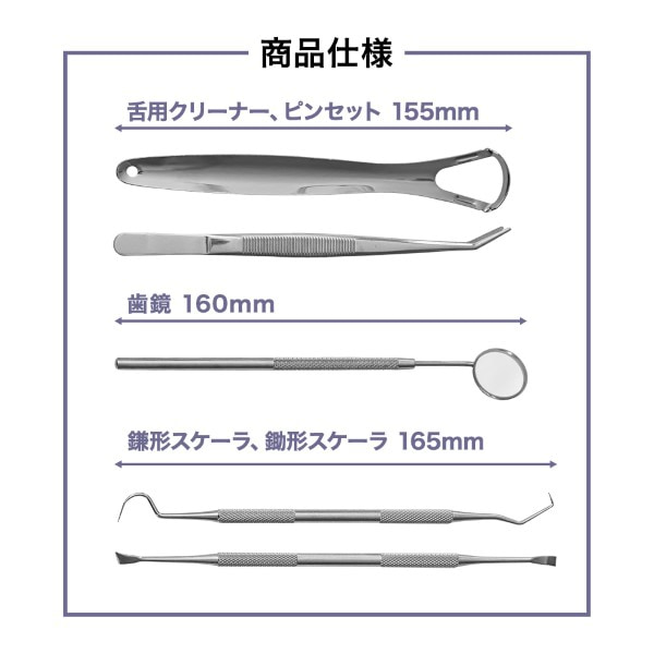 歯石除去 歯石取り スケーラー 5本セット 【一般医療機器】 歯石とり 