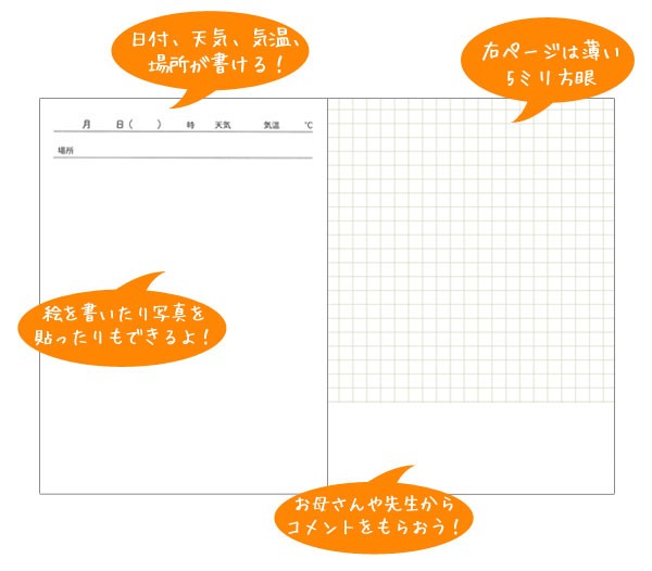 ツバメ つばめかんさつノート A5 H30S・5mm方眼