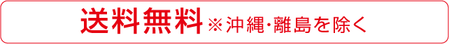 送料無料。※沖縄・離島を除く