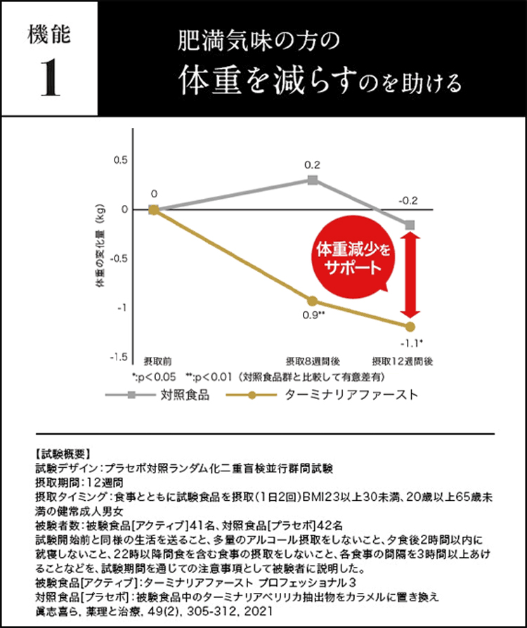 公式 ターミナリアファースト（グルメサプリ）2袋 血糖値 中性脂肪