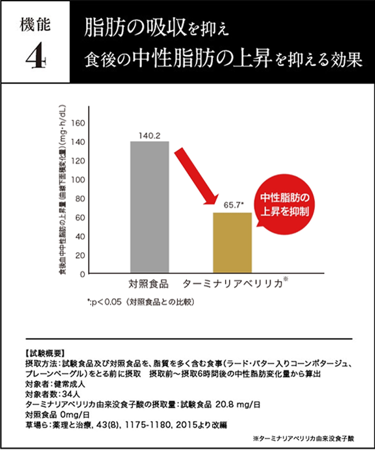 公式 ターミナリアファースト（グルメサプリ）1袋 血糖値 中性脂肪