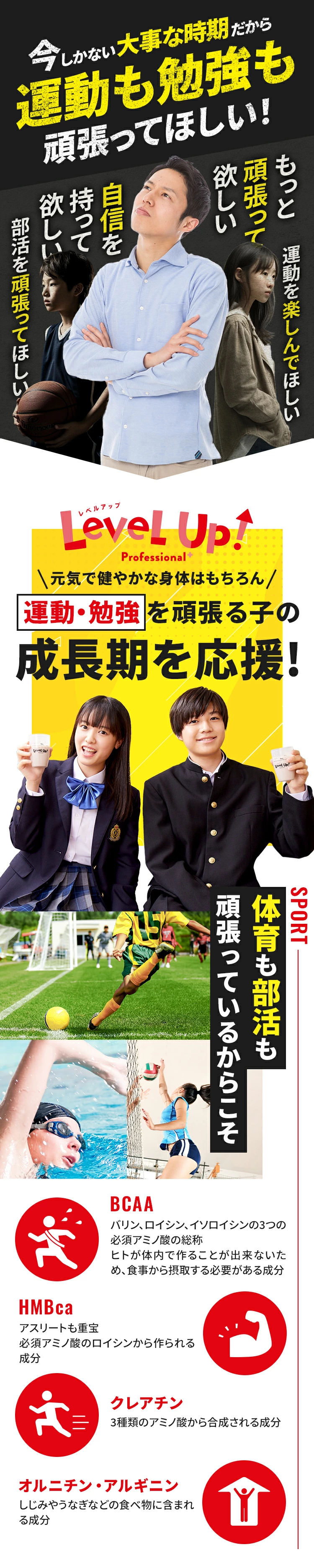 レベルアップ