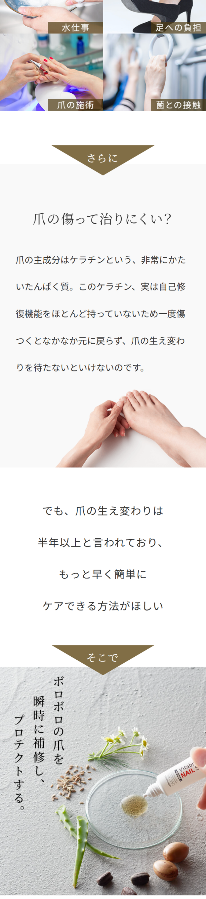 ネイルシールド