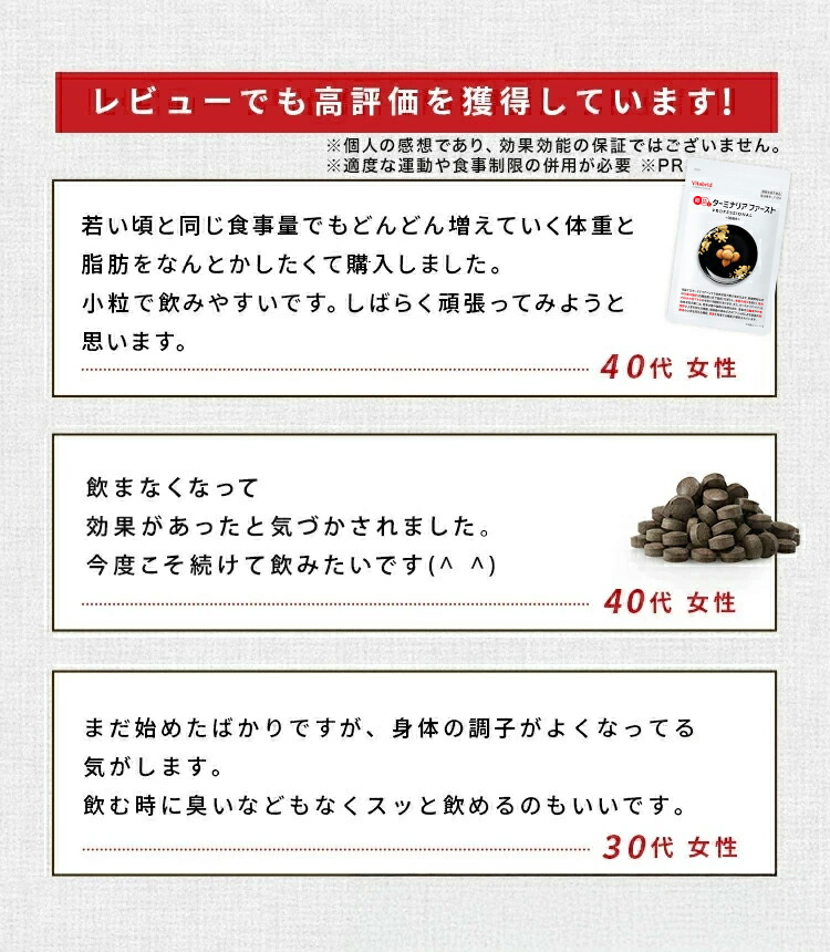 VitabridC 公式 ターミナリアファースト（グルメサプリ）3袋 血糖値 中