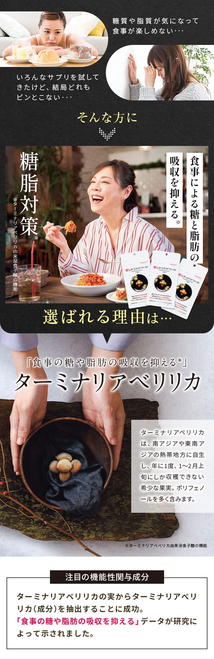 ターミナリアファースト