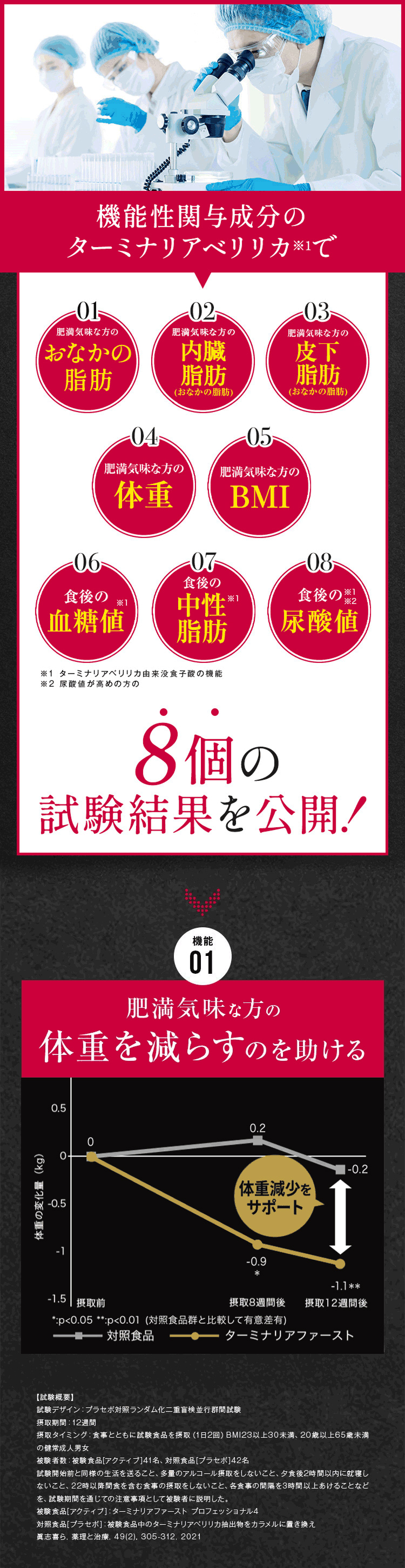 ターミナリアファースト