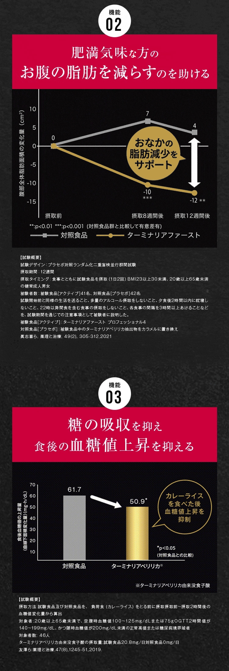 ターミナリアファースト